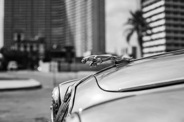 20בטס קזינו אפליקציית Android/iOS